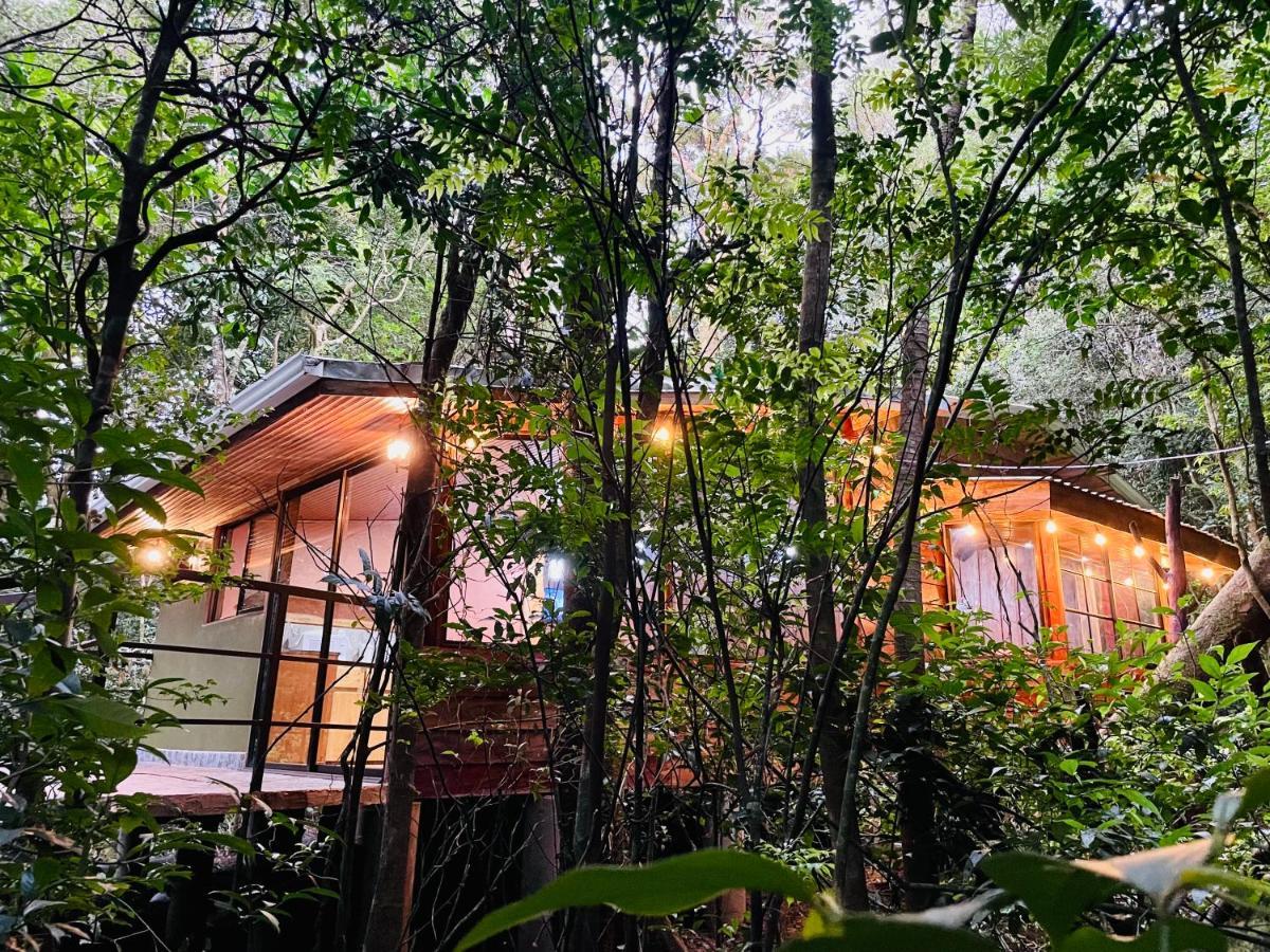 Cabanas La Montana Monteverde Екстер'єр фото