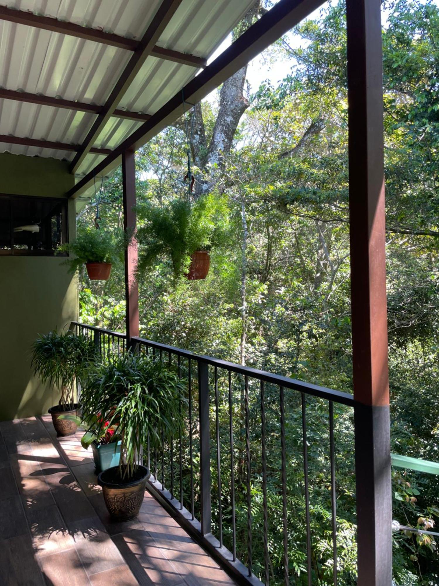 Cabanas La Montana Monteverde Екстер'єр фото