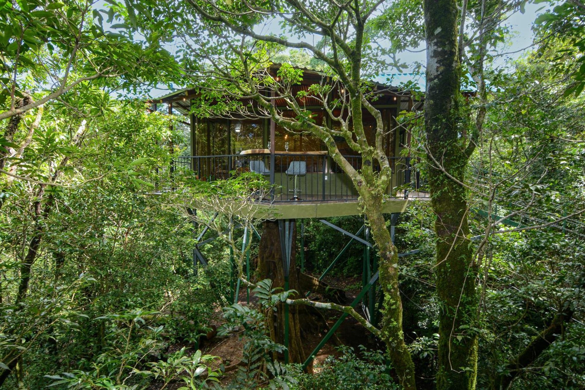 Cabanas La Montana Monteverde Екстер'єр фото