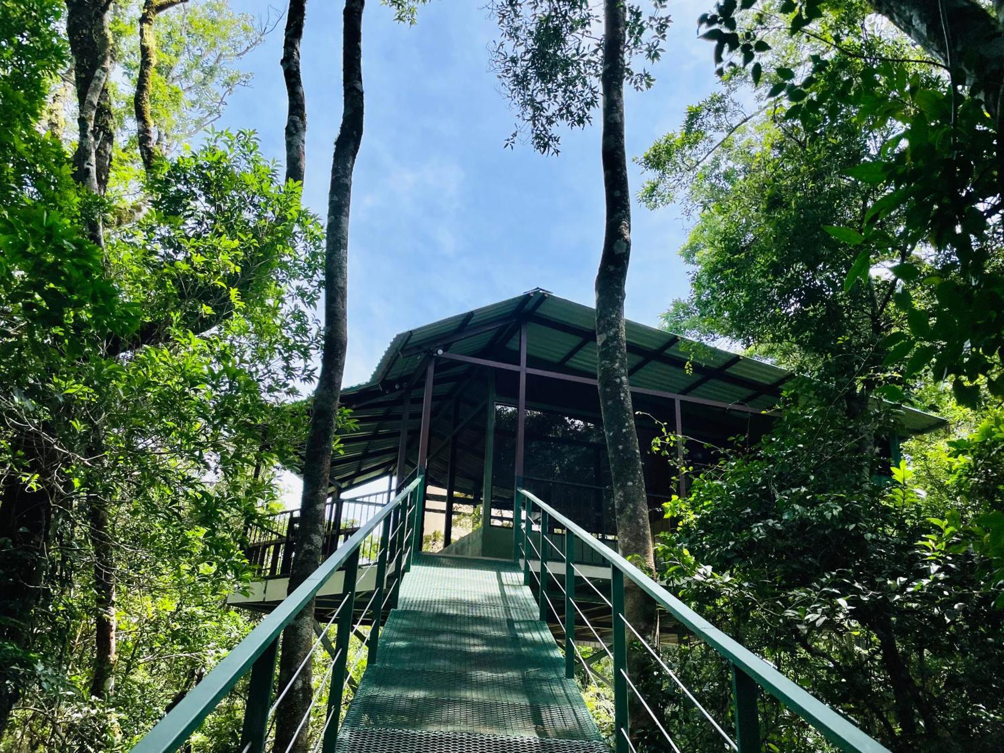 Cabanas La Montana Monteverde Екстер'єр фото