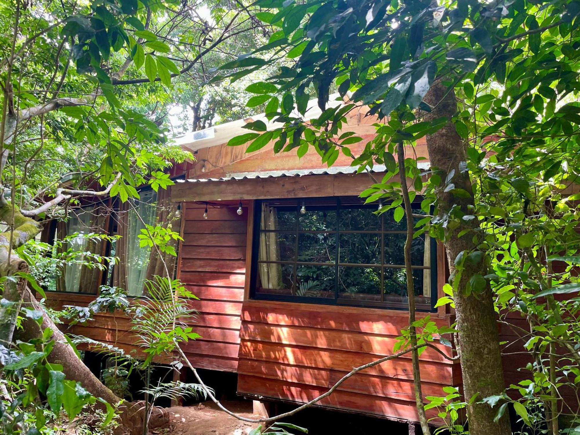 Cabanas La Montana Monteverde Екстер'єр фото